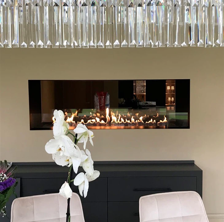 Biofuel Fireplace Insert